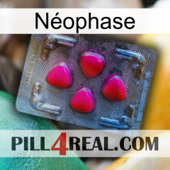 Néophase 13